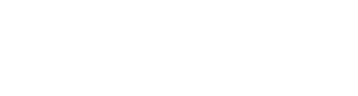 ALC AUTO LIFE CENTER
